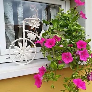 Del Golfo Mini-hôtel